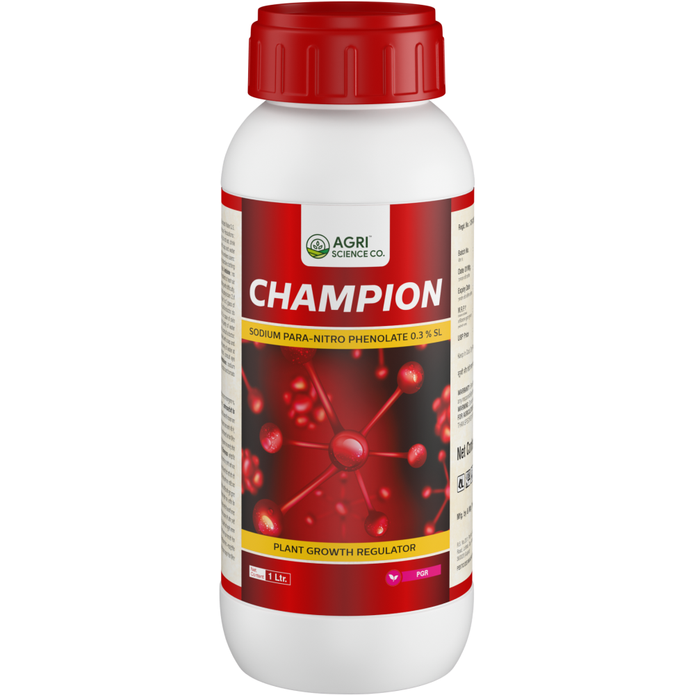 CHAMPION